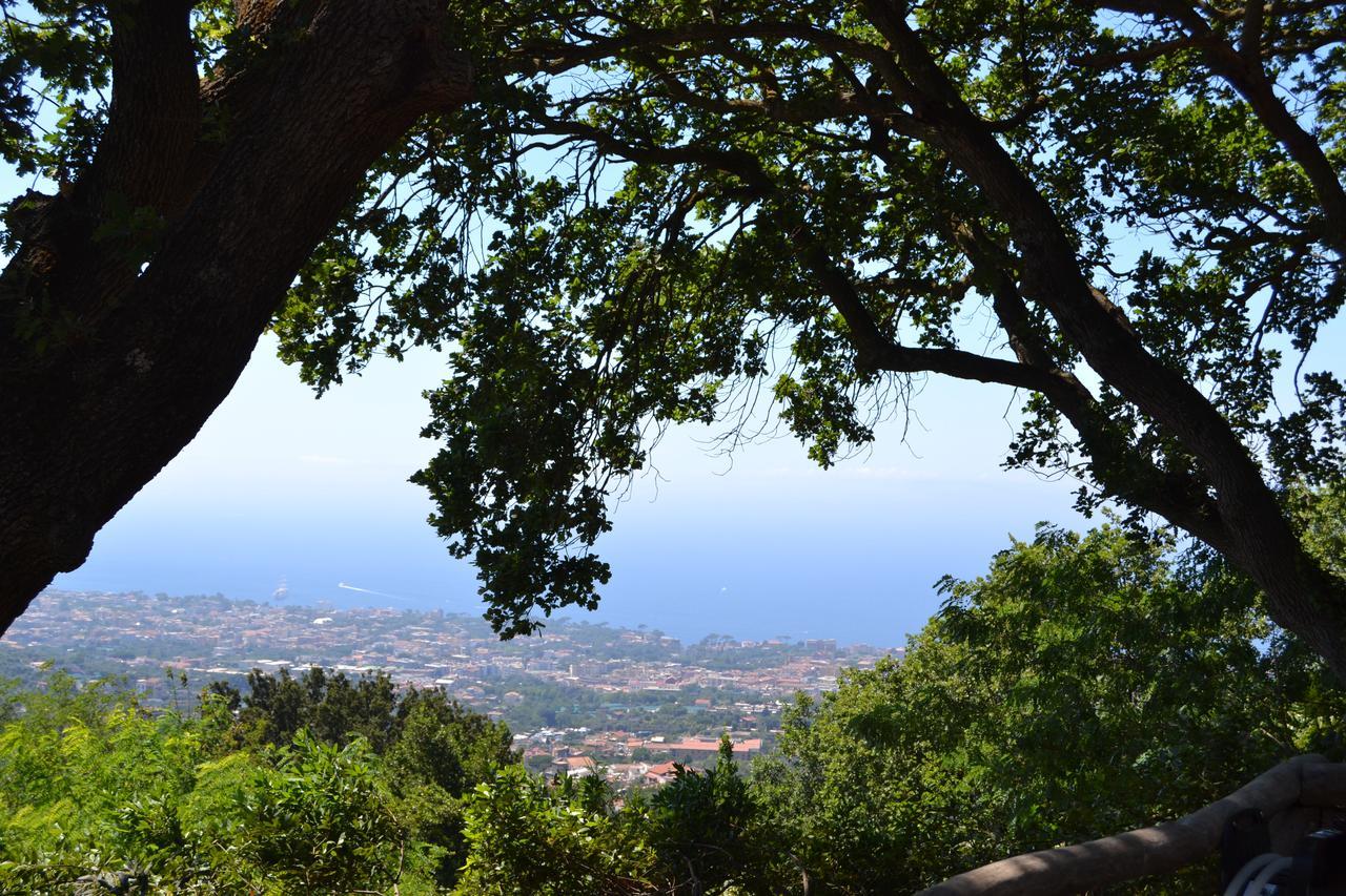 Aparthotel Il Casale Del Principe à Piano di Sorrento Extérieur photo