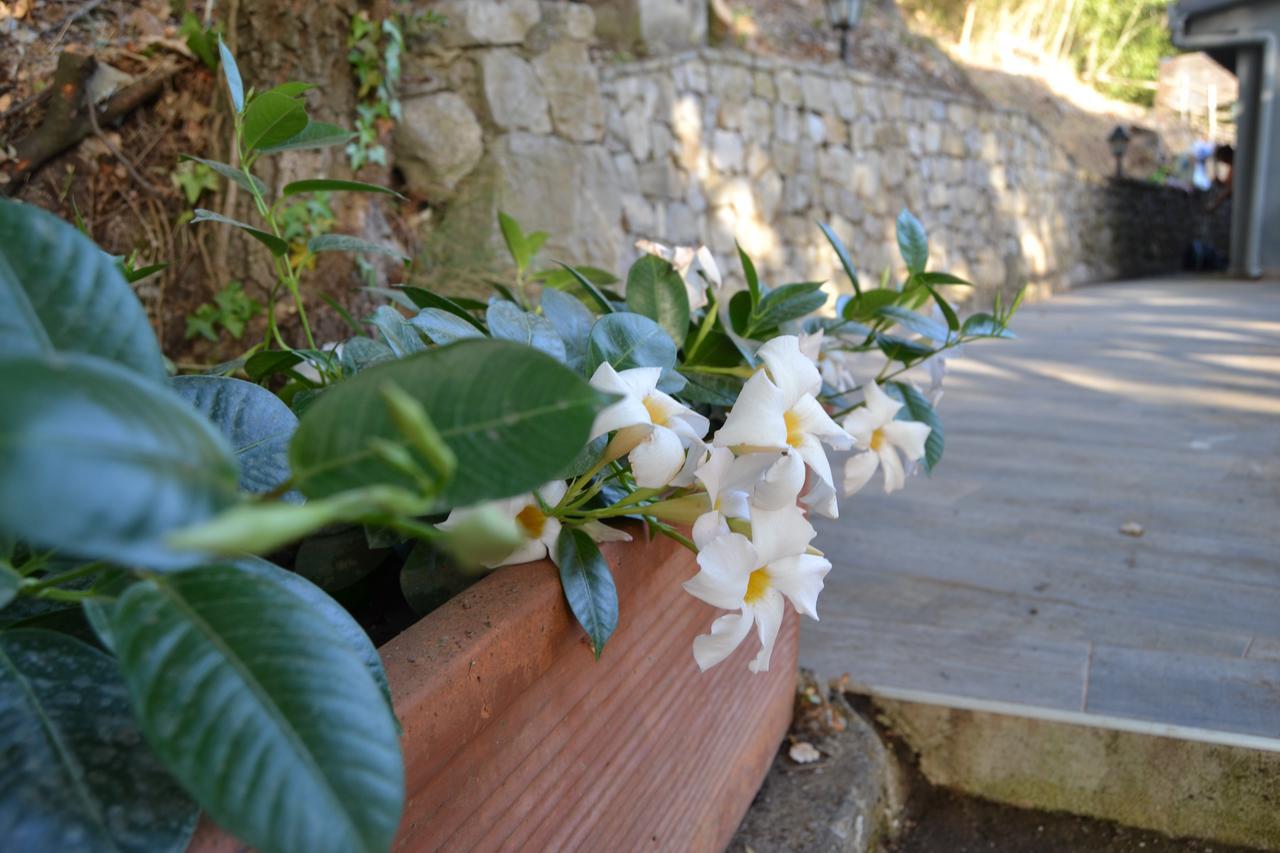 Aparthotel Il Casale Del Principe à Piano di Sorrento Extérieur photo